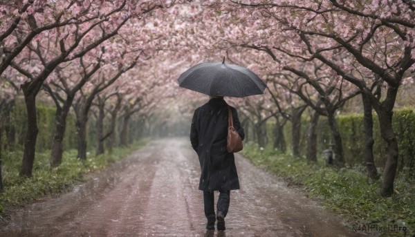 1girl, solo, holding, standing, outdoors, pants, bag, from behind, tree, coat, umbrella, grass, denim, cherry blossoms, scenery, walking, black coat, jeans, holding umbrella, road, street, path, transparent umbrella, spring (season)