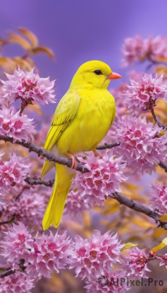 closed mouth,full body,weapon,flower,outdoors,day,sword,blurry,black eyes,tree,no humans,depth of field,blurry background,bird,animal,cherry blossoms,pink flower,flying,branch,animal focus,leaf,realistic,beak,wisteria