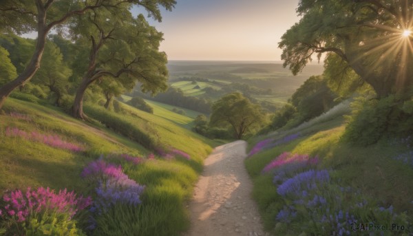 A stunning view of a landscape in sunset day