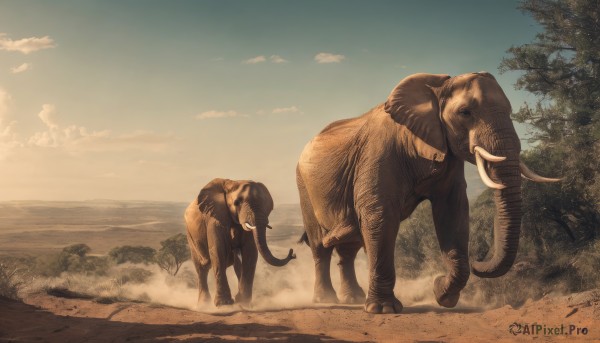 outdoors,horns,sky,teeth,day,cloud,water,tree,blue sky,no humans,animal,beach,nature,scenery,monster,realistic,sand,desert,tusks,signature,cloudy sky,dinosaur,cow,elephant