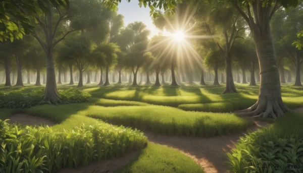 The wonder of a landscape in a peaceful day