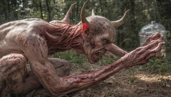 solo,open mouth,1boy,male focus,nude,outdoors,horns,teeth,blurry,from side,tree,fingernails,blood,blurry background,all fours,nature,forest,veins,monster,realistic,bald,day,no humans,1other,death