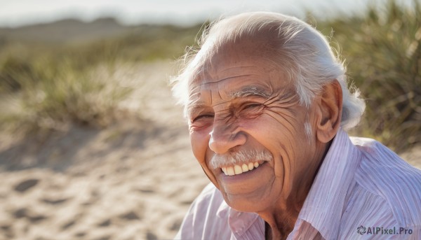 solo,smile,open mouth,shirt,1boy,closed eyes,white shirt,white hair,grey hair,male focus,outdoors,teeth,striped,collared shirt,hair bun,blurry,blurry background,facial hair,single hair bun,portrait,striped shirt,realistic,old,old man,vertical-striped shirt,old woman,wrinkled skin,upper body,grin,depth of field,grass