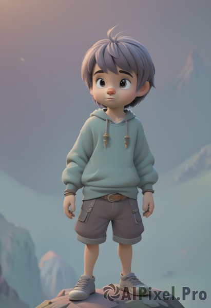 solo,short hair,brown hair,black hair,long sleeves,1boy,brown eyes,closed mouth,standing,full body,male focus,outdoors,sky,shoes,shorts,belt,artist name,hood,hoodie,hood down,sneakers,child,drawstring,male child,brown shorts,blue hoodie,green hoodie,no humans