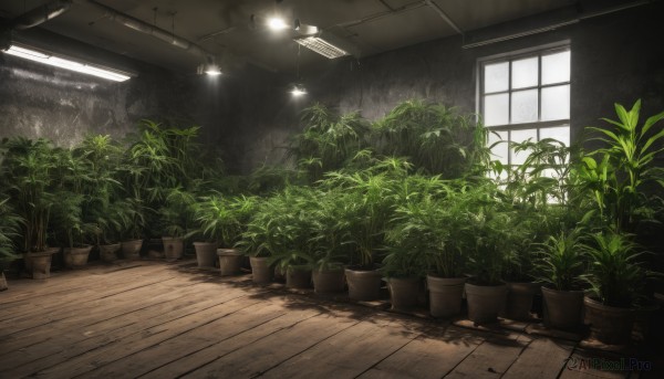 The beauty of a indoors set in a enchanting day