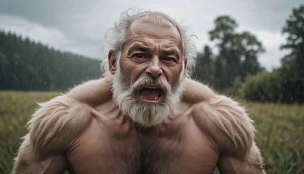 solo,looking at viewer,open mouth,1boy,collarbone,upper body,white hair,male focus,outdoors,sky,day,cloud,blurry,black eyes,tree,muscular,blurry background,facial hair,fangs,thick eyebrows,cloudy sky,pectorals,muscular male,bara,beard,rain,topless male,mature male,realistic,mustache,old,chest hair,old man,arm hair,hairy,wrinkled skin,smile,scar,grass,manly