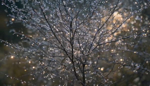 A refreshing image of a female in snowy outdoors