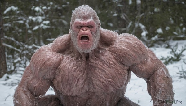 solo,looking at viewer,open mouth,1boy,upper body,white hair,male focus,outdoors,teeth,blurry,tree,muscular,blurry background,facial hair,pectorals,muscular male,nature,bara,beard,snow,forest,veins,snowing,realistic,manly,old,chest hair,old man,arm hair,hairy,short hair,closed eyes,wet,parody,facing viewer,topless male,shouting,screaming