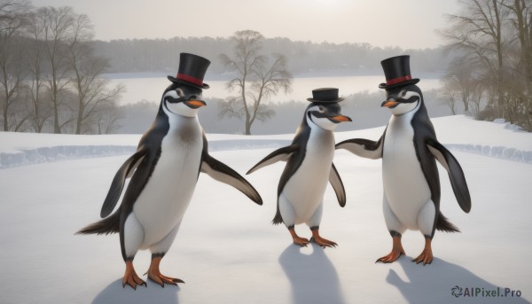 hat,standing,outdoors,day,tree,no humans,black headwear,shadow,bird,animal,nature,snow,top hat,animal focus,winter,bare tree,penguin,flock,sky,scenery