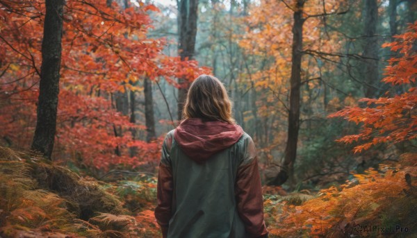 A unique view of a female in day