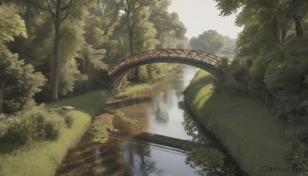 A landscape in a tranquil day