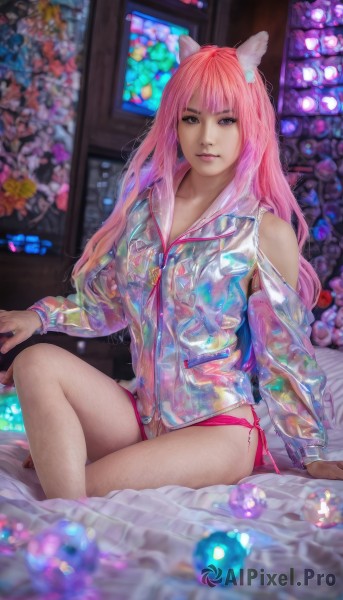 1girl,solo,long hair,breasts,looking at viewer,bangs,long sleeves,animal ears,sitting,closed mouth,underwear,panties,jacket,swimsuit,pink hair,bikini,artist name,indoors,cat ears,blunt bangs,blurry,lips,see-through,clothing cutout,bed,depth of field,blurry background,side-tie bikini bottom,bed sheet,arm support,on bed,watermark,crossed legs,no pants,pink panties,side-tie panties,zipper,realistic,pink bikini,bikini under clothes,shoulder cutout,bikini bottom only,stained glass,thighs,signature,knee up,nose,red panties