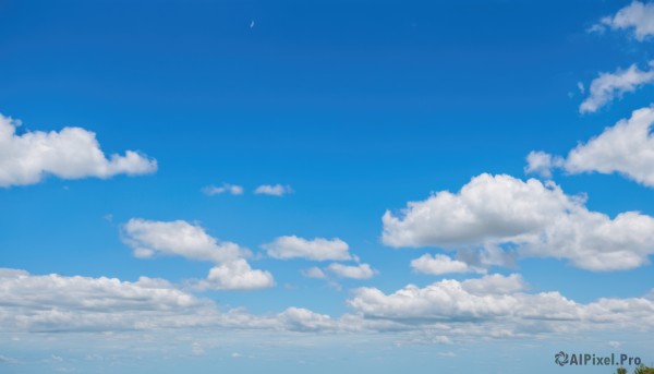 flower,outdoors,sky,day,cloud,blue sky,no humans,cloudy sky,grass,nature,scenery,sunflower,horizon,field,summer,cumulonimbus cloud,signature,plant,blue theme