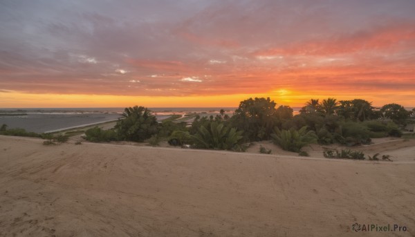 outdoors,sky,cloud,tree,no humans,beach,cloudy sky,grass,plant,ground vehicle,nature,scenery,motor vehicle,sunset,sand,horizon,road,bush,evening,orange sky,water,ocean,rock,palm tree,sun,waves,landscape,shore