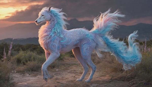 A vibrant unique subject captured in sunset outdoors