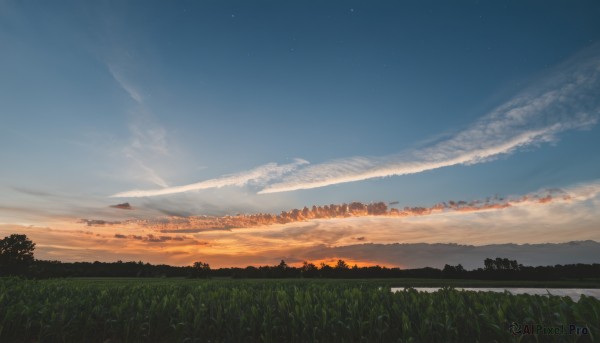 outdoors,sky,cloud,tree,blue sky,no humans,night,cloudy sky,grass,building,star (sky),nature,scenery,forest,starry sky,sunset,mountain,city,horizon,cityscape,field,evening,landscape,mountainous horizon,hill