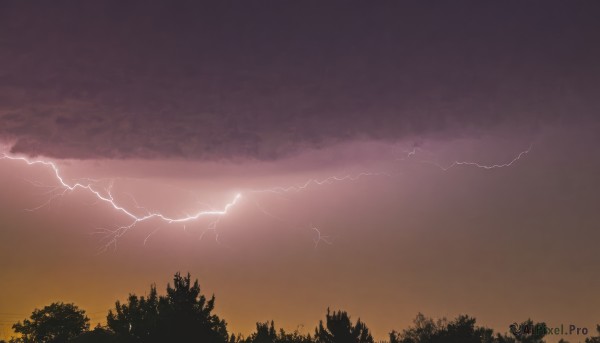 outdoors,sky,cloud,tree,no humans,cloudy sky,nature,scenery,forest,sunset,electricity,lightning,gradient sky,yellow sky