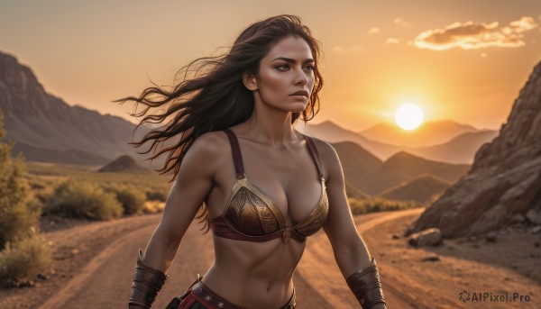 1girl,solo,long hair,breasts,large breasts,brown hair,black hair,navel,cleavage,bare shoulders,brown eyes,medium breasts,closed mouth,collarbone,upper body,outdoors,sky,cloud,armor,blurry,tree,lips,floating hair,wind,toned,sunset,mountain,realistic,sun,bracer,looking afar,bikini armor,desert,stomach,abs,nature,backlighting,sand,vambraces,orange sky