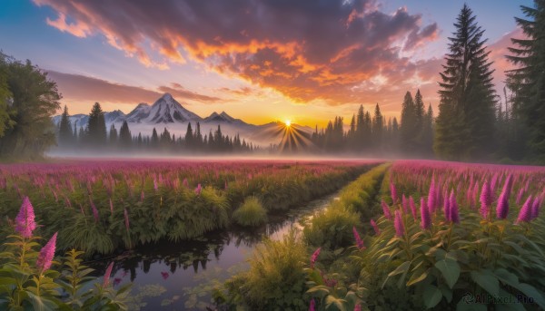 The serene presence of a landscape in a peaceful sunset outdoors