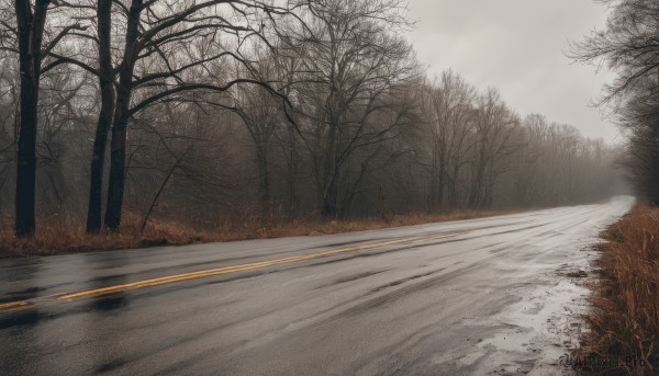 The timeless beauty of a street in a picturesque snowy day