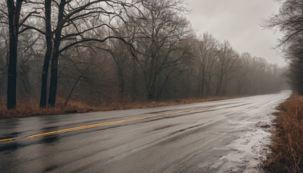 outdoors,sky,day,cloud,tree,no humans,cloudy sky,grass,nature,scenery,snow,forest,road,winter,bare tree,fog,grey sky,path,realistic,street,landscape