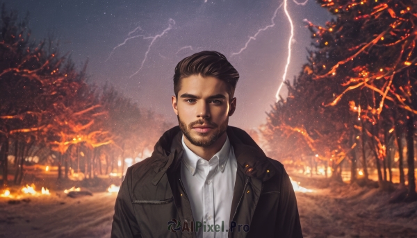 solo,looking at viewer,short hair,brown hair,shirt,black hair,1boy,brown eyes,jacket,white shirt,upper body,male focus,outdoors,open clothes,sky,collared shirt,tree,coat,black jacket,night,facial hair,fire,nature,night sky,beard,forest,realistic,leather,animification,christmas tree,lightning,leather jacket,pine tree,closed mouth,star (sky),snow,starry sky,brown jacket,road,brown coat