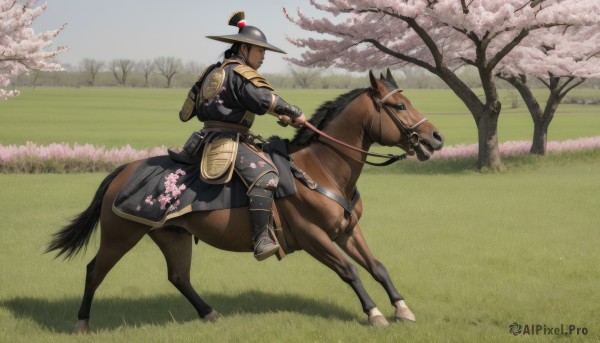 solo,black hair,1boy,hat,weapon,male focus,outdoors,japanese clothes,day,sword,armor,from side,tree,animal,helmet,grass,cherry blossoms,shoulder armor,1other,riding,japanese armor,horse,samurai,horseback riding,reins,saddle,holding,sky,holding weapon,blue sky,black headwear,facial hair,holding sword,katana,sheath,field,taur,monsterification,kusazuri,centaur,multiple legs,kabuto (helmet),jingasa,igote