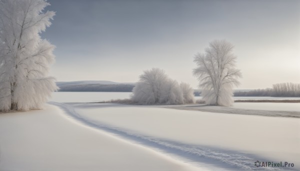 HQ,outdoors,sky,day,cloud,water,tree,blue sky,no humans,ocean,beach,nature,scenery,snow,sand,horizon,road,winter,bare tree,landscape,shore,monochrome,greyscale,forest,realistic,waves