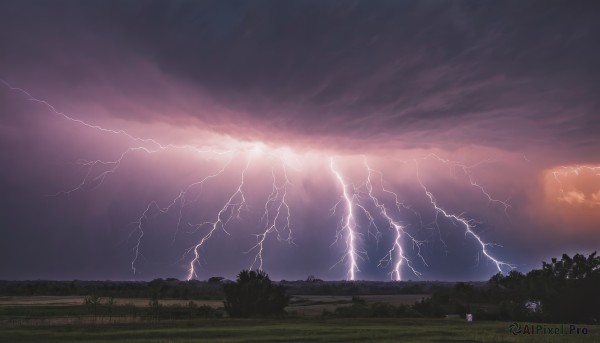 A idyllic lightning within a lush sunset outdoors