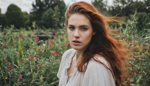 1girl,solo,long hair,looking at viewer,blue eyes,brown hair,dress,upper body,flower,outdoors,parted lips,day,white dress,blurry,tree,lips,depth of field,blurry background,plant,nature,freckles,realistic,nose,open mouth,shirt,brown eyes,white shirt,teeth,floating hair,sunlight,blouse,wind,forest,garden