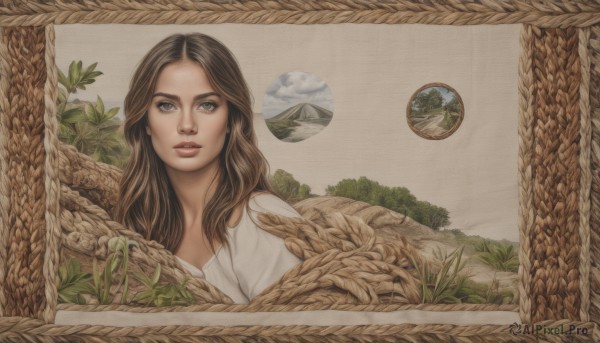 1girl,solo,long hair,looking at viewer,blue eyes,brown hair,shirt,brown eyes,white shirt,upper body,parted lips,tree,lips,grey eyes,leaf,grass,plant,realistic,planet,window,traditional media,scenery,basket