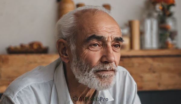 solo,looking at viewer,shirt,1boy,closed mouth,white shirt,upper body,white hair,grey hair,male focus,collared shirt,indoors,blurry,dress shirt,blurry background,facial hair,thick eyebrows,portrait,beard,meme,realistic,mustache,bald,manly,old,old man,wrinkled skin,brown eyes,vest,lips,parody,labcoat