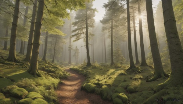 A tranquil view of a landscape in day