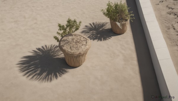 outdoors,day,no humans,shadow,plant,scenery,potted plant,still life,flower pot,tree,leaf,from above,sand