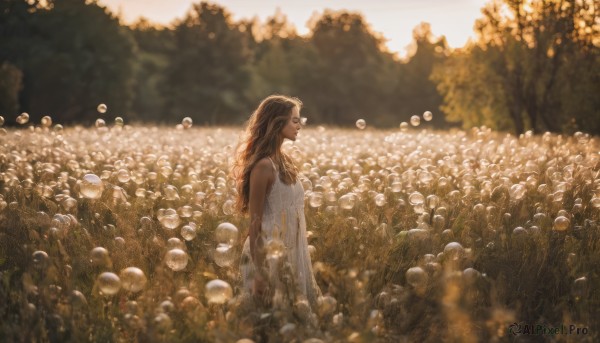 1girl, solo, long hair, brown hair, dress, standing, closed eyes, flower, outdoors, sleeveless, white dress, blurry, tree, profile, sleeveless dress, depth of field, nature, scenery, realistic, field, flower field