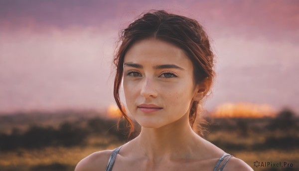 1girl,solo,looking at viewer,short hair,brown hair,black hair,bare shoulders,brown eyes,closed mouth,collarbone,outdoors,sky,blurry,black eyes,lips,depth of field,blurry background,portrait,freckles,sunset,realistic,smile,upper body,light smile