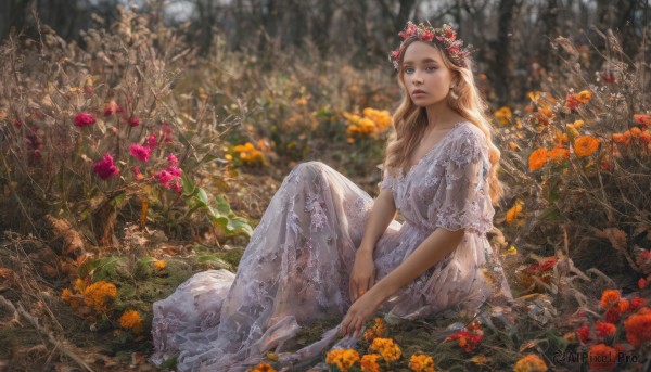 1girl, solo, long hair, blue eyes, blonde hair, hair ornament, dress, jewelry, sitting, flower, earrings, outdoors, parted lips, white dress, blurry, tree, lips, nature, forest, fish, realistic, head wreath, orange flower