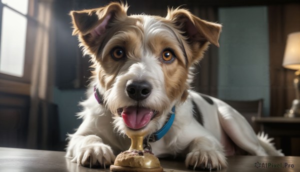 A dog showcased in a vivid window