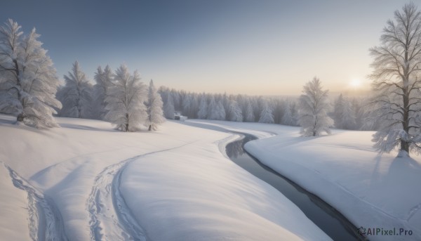 The majestic beauty of a female set within a dynamic snowy outdoors