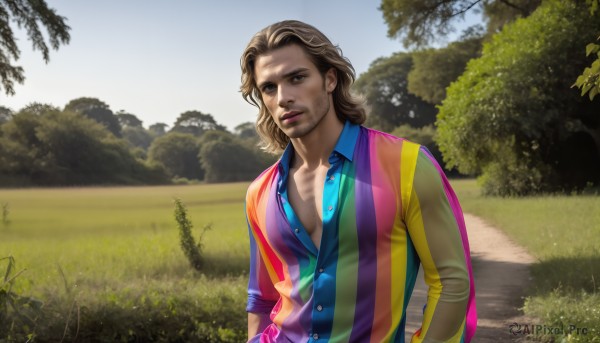 HQ,solo,looking at viewer,brown hair,shirt,1boy,brown eyes,upper body,male focus,outdoors,parted lips,sky,day,striped,collared shirt,tree,lips,buttons,facial hair,grass,blue shirt,multicolored clothes,beard,striped shirt,realistic,blonde hair,long sleeves,open clothes,teeth,signature,scarf,vest,open shirt,stubble,partially unbuttoned,multicolored shirt