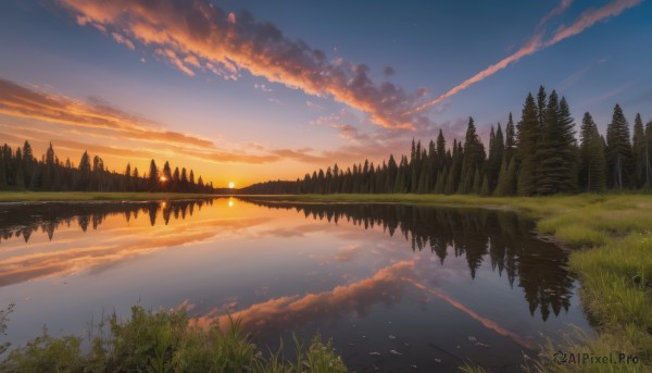 outdoors, sky, cloud, water, tree, no humans, bird, cloudy sky, grass, nature, scenery, forest, reflection, sunset, sun, landscape