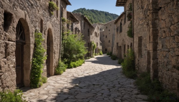 outdoors,sky,day,tree,blue sky,no humans,window,shadow,grass,plant,building,nature,scenery,road,bush,wall,ruins,path,arch,cloud,door,house,pavement,stone wall