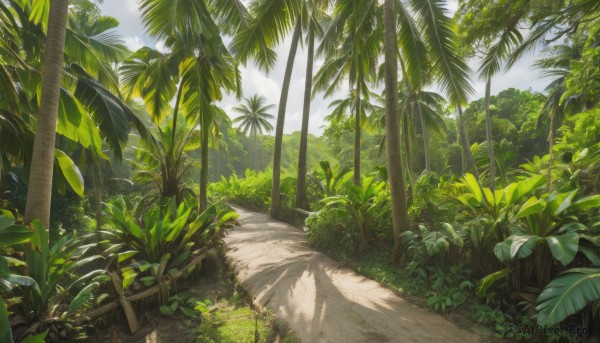 outdoors,sky,day,cloud,tree,blue sky,no humans,leaf,beach,sunlight,grass,plant,nature,scenery,forest,sand,palm tree,road,bush,shadow,path