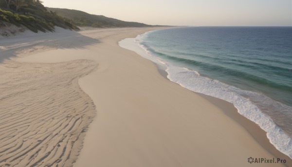 outdoors,sky,day,water,tree,no humans,ocean,beach,nature,scenery,sand,waves,shore,plant,horizon