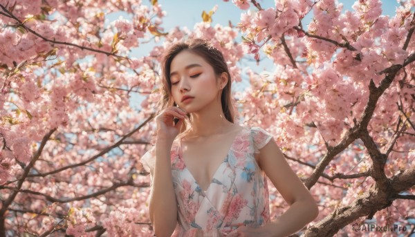 1girl, solo, long hair, breasts, brown hair, dress, jewelry, closed eyes, upper body, flower, earrings, outdoors, parted lips, sky, day, tree, blue sky, lips, floral print, cherry blossoms, realistic