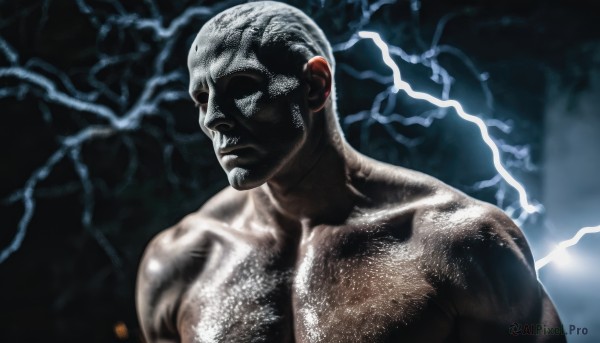 solo,1boy,closed mouth,upper body,male focus,dark skin,tree,muscular,facial hair,dark-skinned male,pectorals,muscular male,veins,topless male,realistic,bald,manly,lightning,short hair,collarbone,closed eyes,white hair,nude,blurry background,bara,very short hair,chest hair,buzz cut