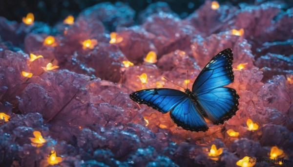 flower, outdoors, blurry, no humans, depth of field, animal, bug, butterfly, scenery, blue butterfly