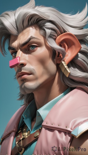 A majestic image of a male in dynamic scene