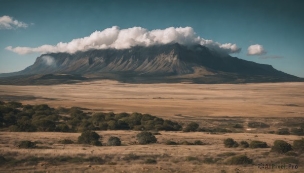 outdoors,sky,day,cloud,tree,blue sky,no humans,cloudy sky,grass,nature,scenery,forest,mountain,field,landscape,mountainous horizon,hill,sand,desert