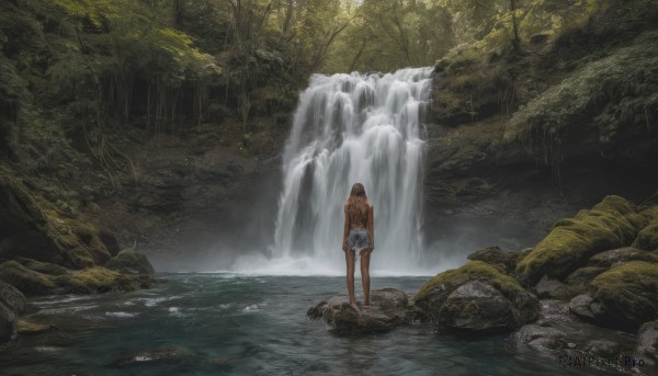 1girl, solo, long hair, brown hair, outdoors, shorts, water, from behind, tree, nature, scenery, wading, forest, river, waterfall